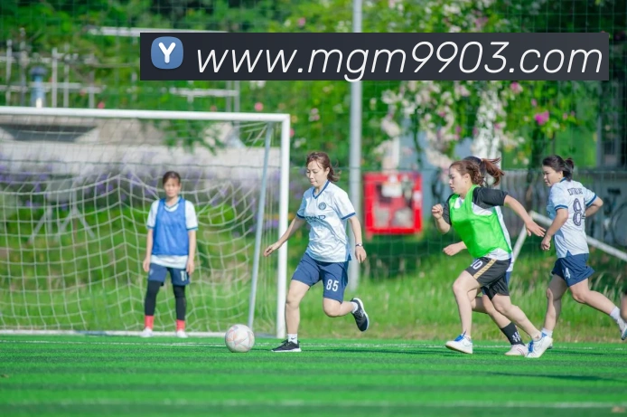 美高梅mgm平台生态图