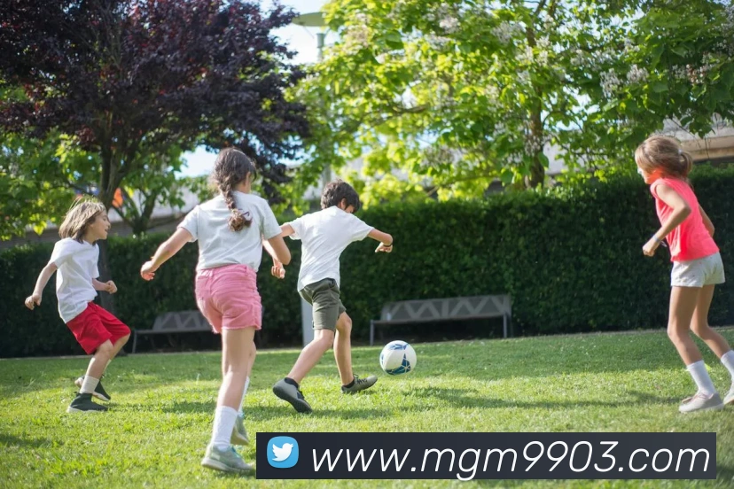 美高梅mgm全站App